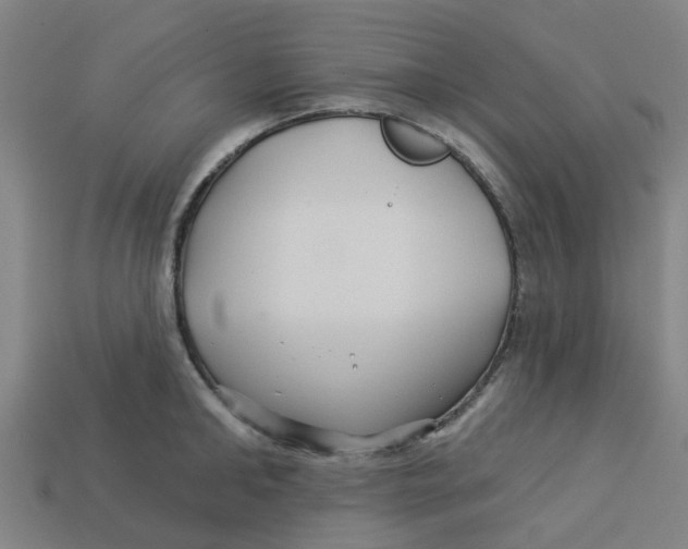 X0000113530902200910161347