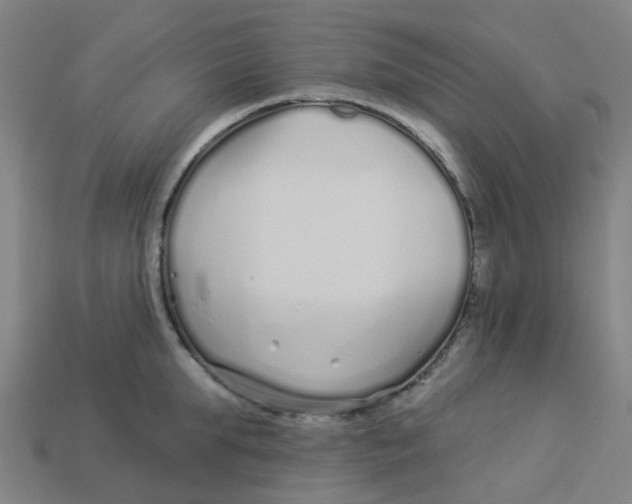 X0000113530903200910161347