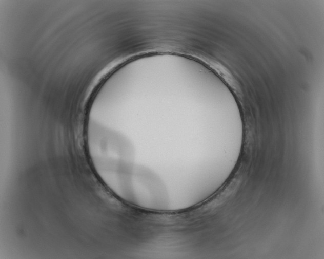 X0000113530904200910161347