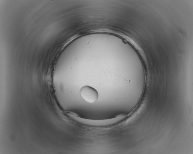 X0000113530905200910161347