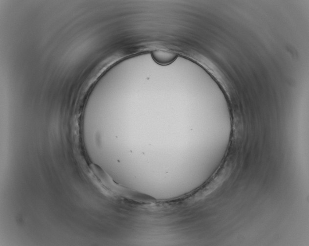 X0000113530906200910161347