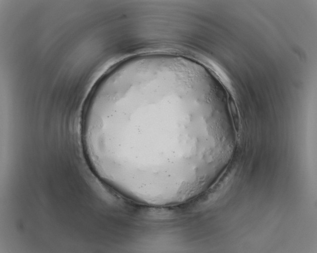 X0000113530907200910161347