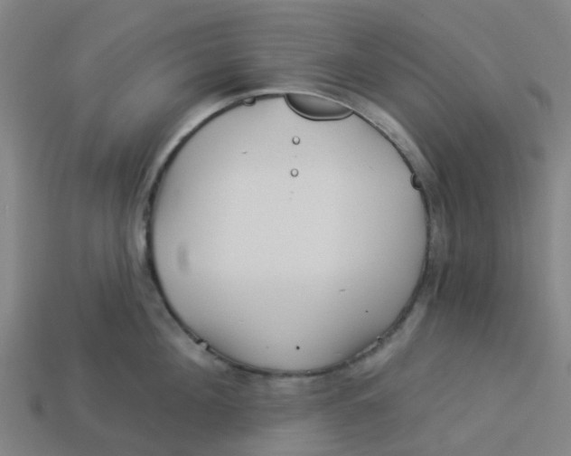 X0000113530908200910161347