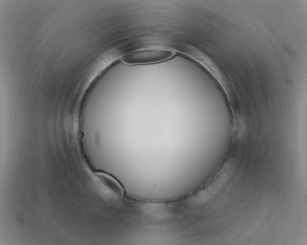 X0000113530909200910161347