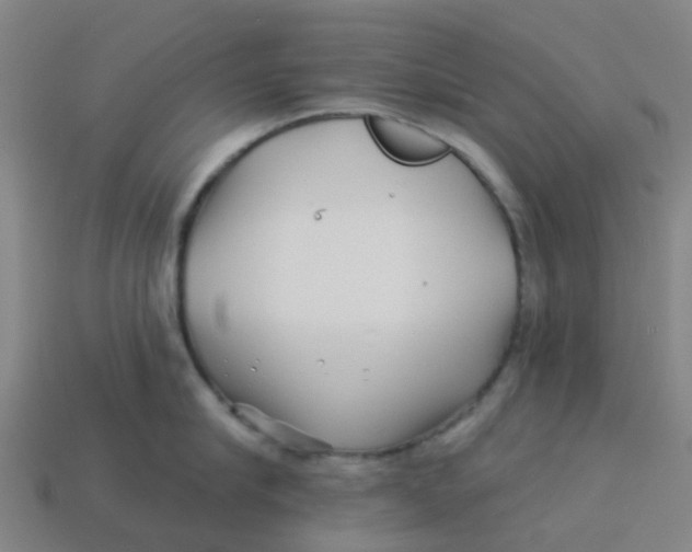 X0000113530910200910161347