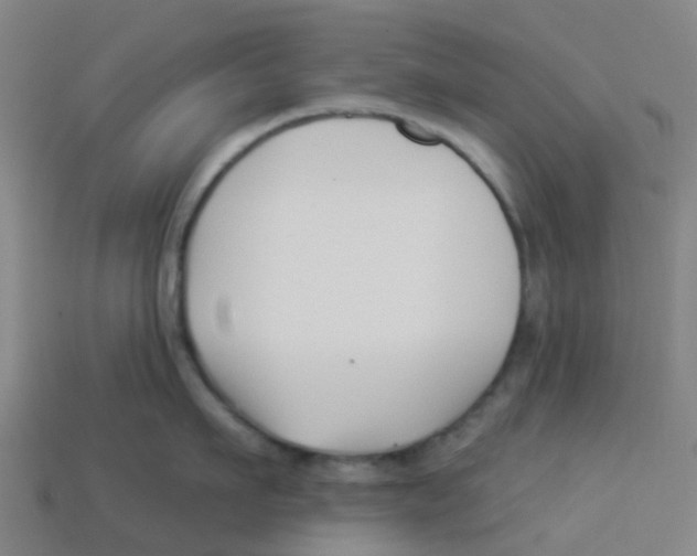 X0000113530911200910161347