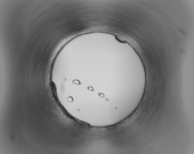 X0000113530912200910161347