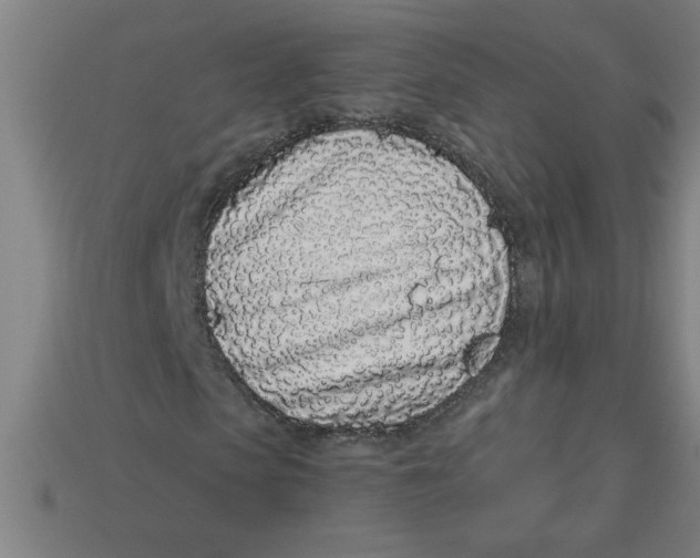 X0000113530913200910161346