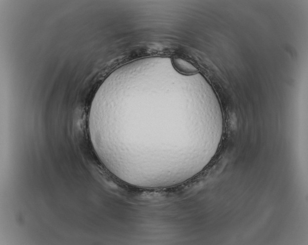 X0000113530914200910161346