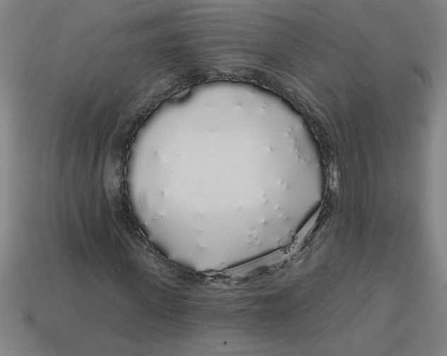 X0000113530915200910161346