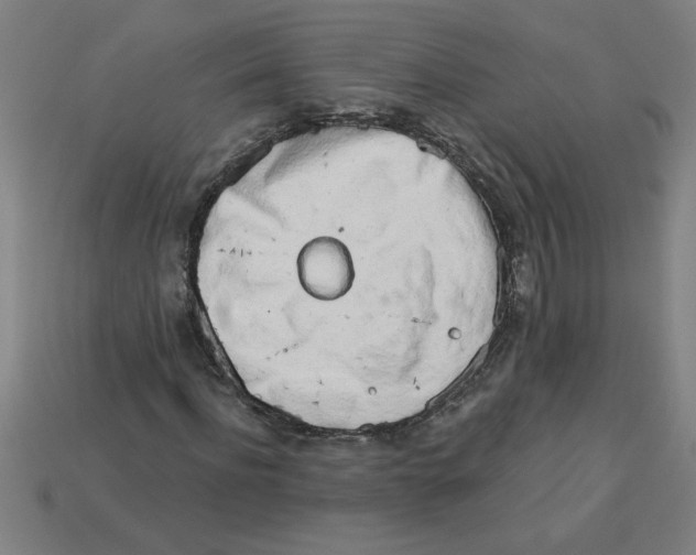 X0000113530916200910161346