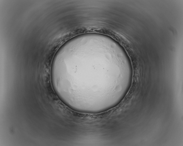 X0000113530917200910161346