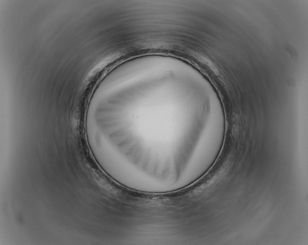 X0000113530922200910161346