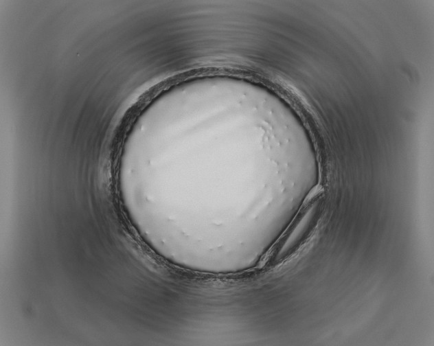 X0000113530923200910161346