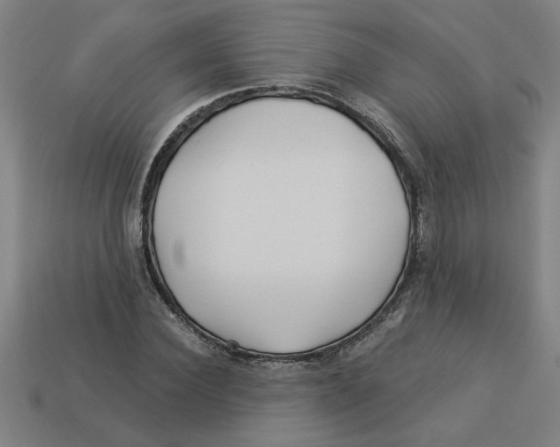 X0000113530924200910161346