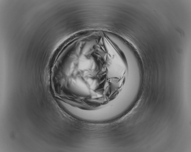 X0000113530925200910161346