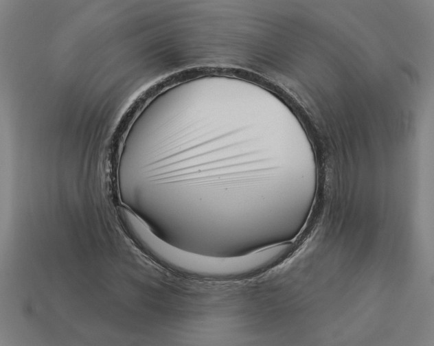 X0000113530926200910161346