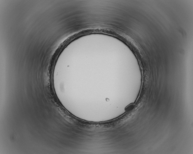 X0000113530927200910161346