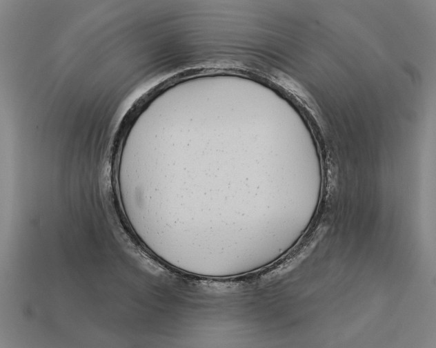 X0000113530928200910161346