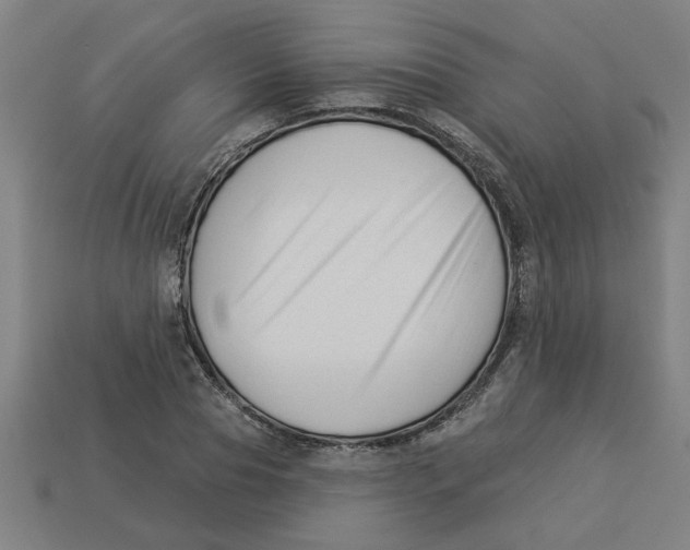 X0000113530929200910161346