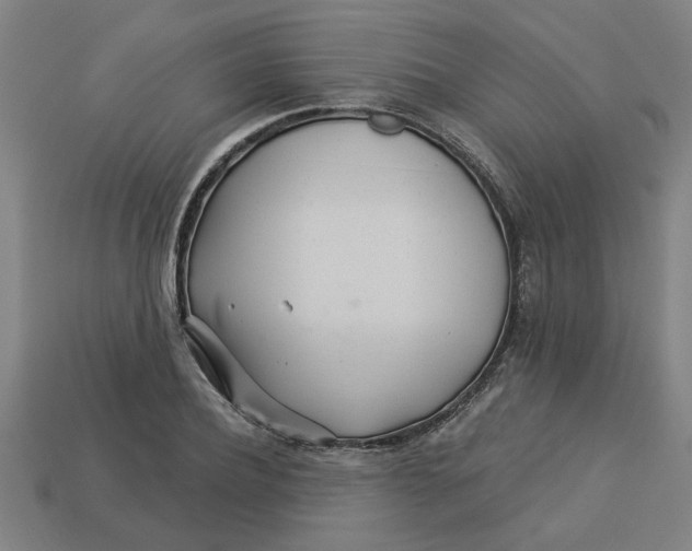 X0000113530932200910161346