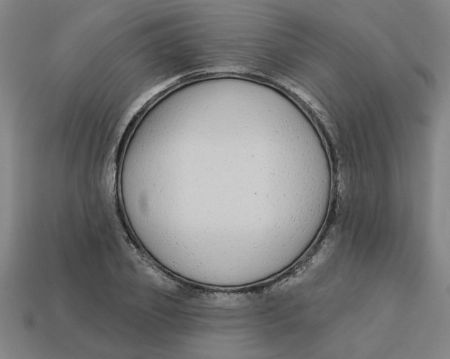 X0000113530933200910161346