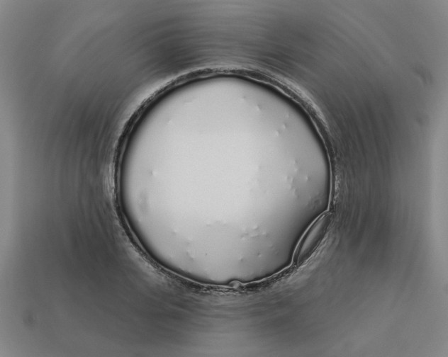 X0000113530935200910161346