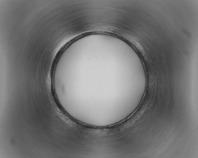 X0000113530936200910161346