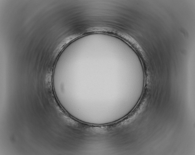 X0000113530937200910161346