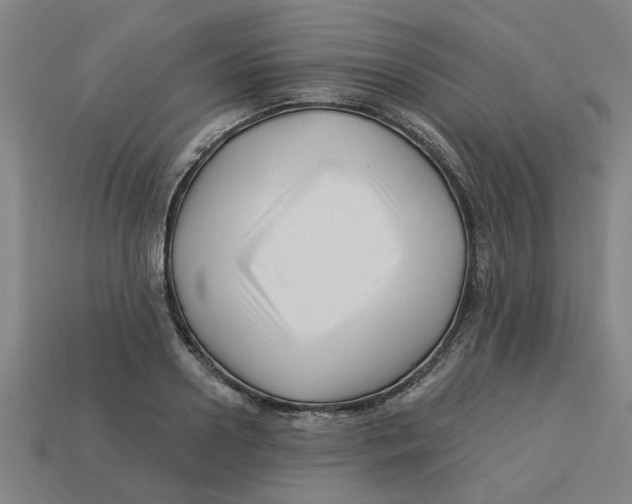 X0000113530938200910161346