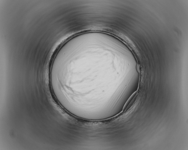 X0000113530939200910161346