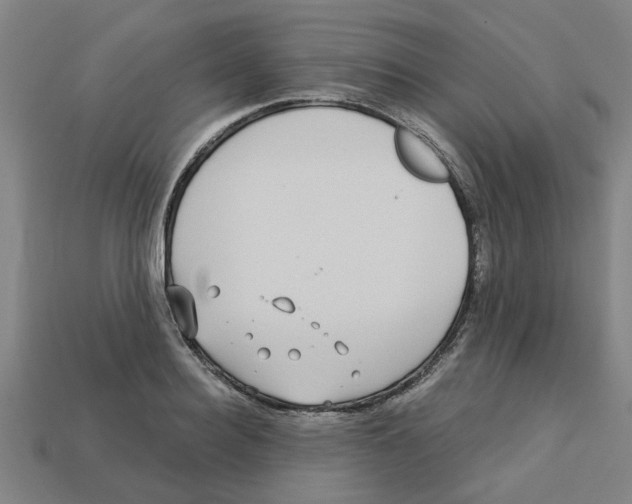 X0000113530940200910161346