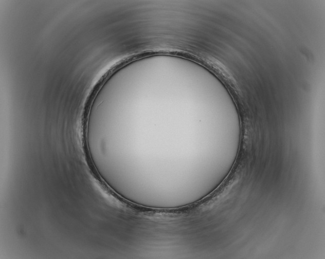 X0000113530942200910161346