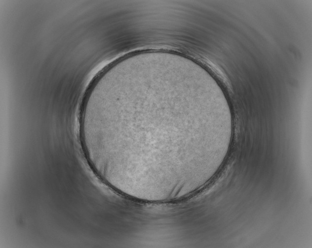 X0000113530944200910161346