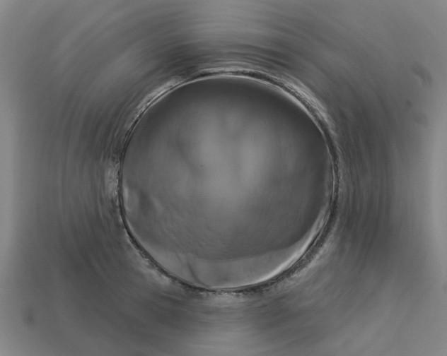 X0000113530945200910161346