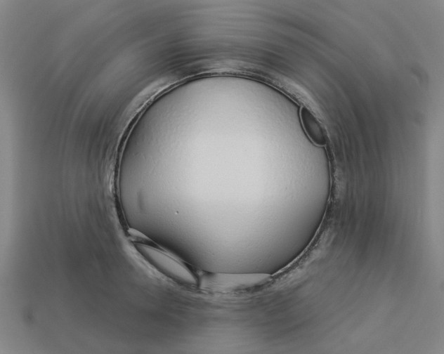 X0000113530946200910161346