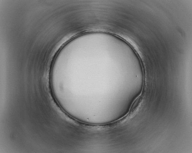 X0000113530949200910161346