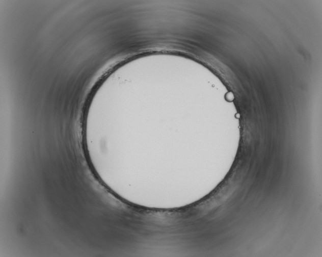 X0000113530950200910161346