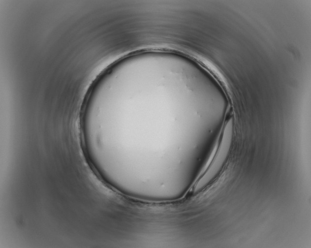 X0000113530951200910161346