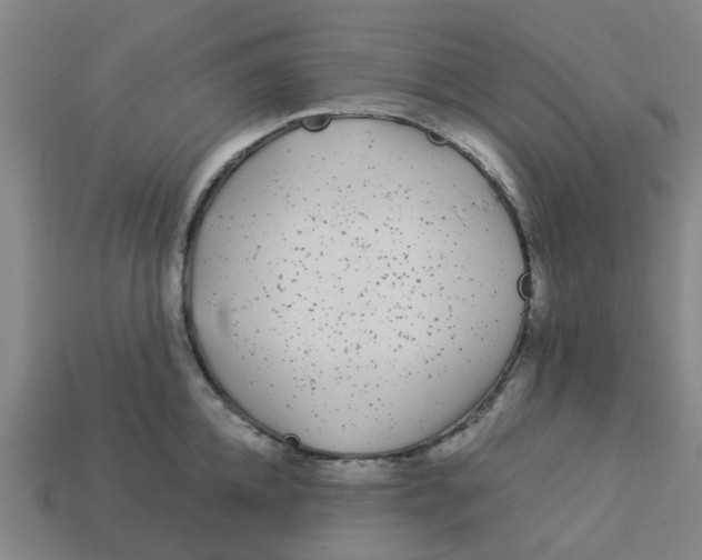 X0000113530952200910161346