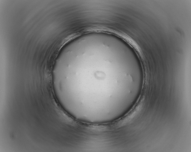 X0000113530953200910161347