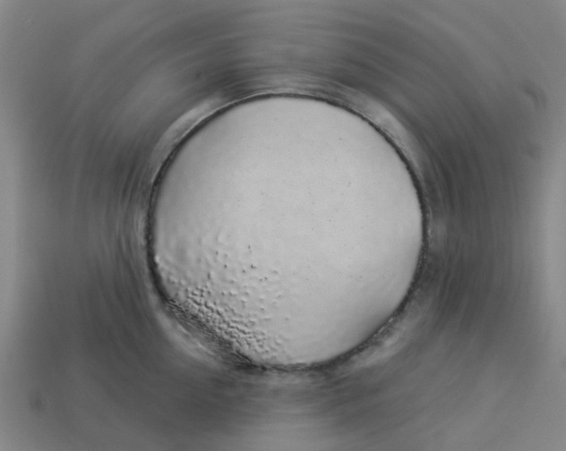 X0000113530954200910161347