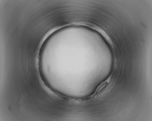 X0000113530955200910161347