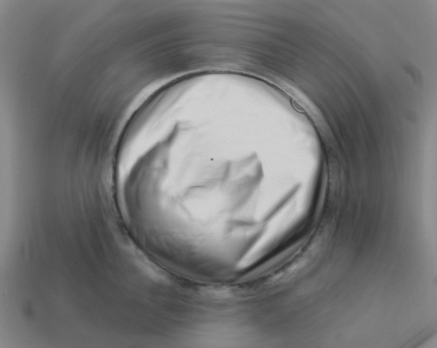 X0000113530956200910161347