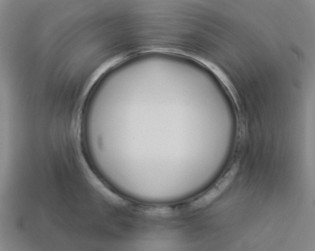 X0000113530957200910161347