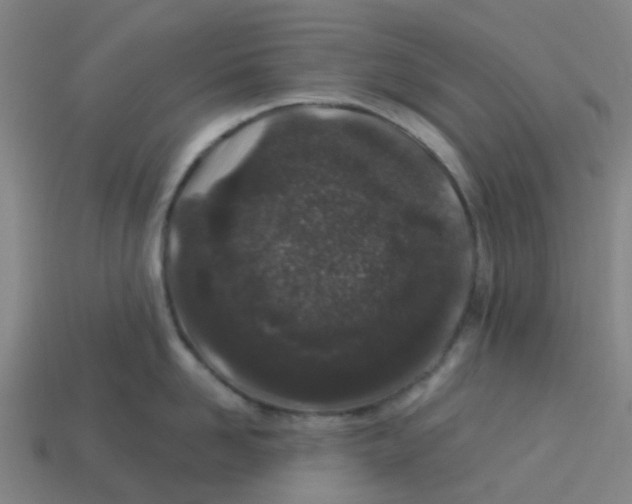 X0000113530958200910161347