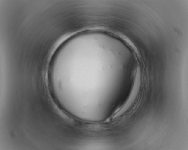 X0000113530959200910161347