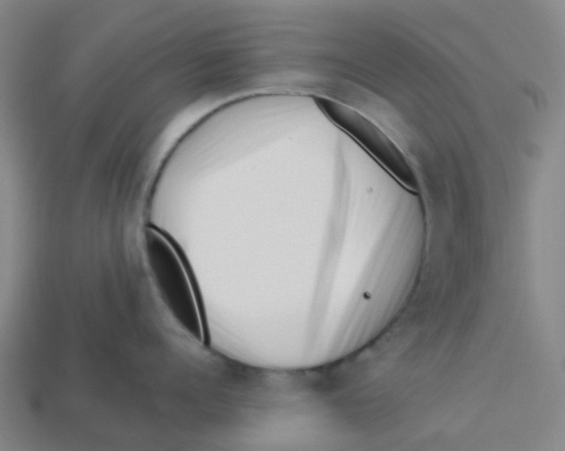 X0000113530960200910161347