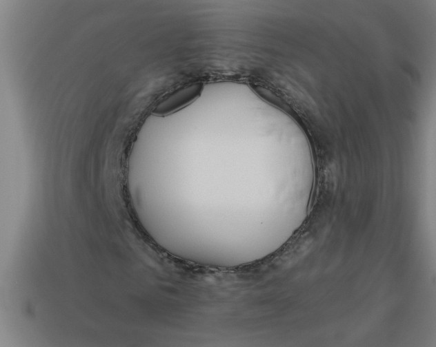 X0000113530961200910161346