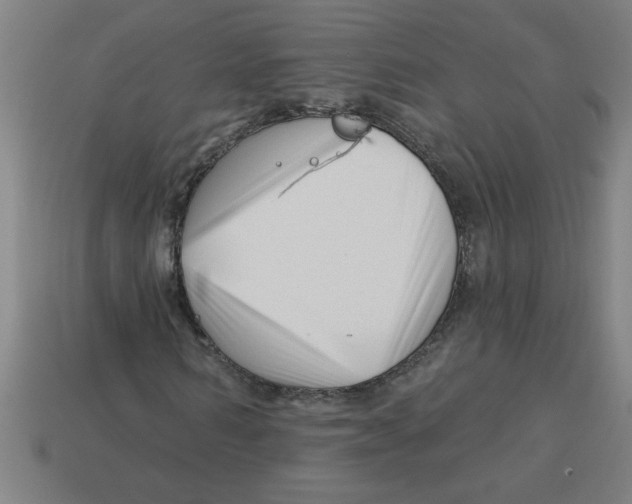 X0000113530962200910161346